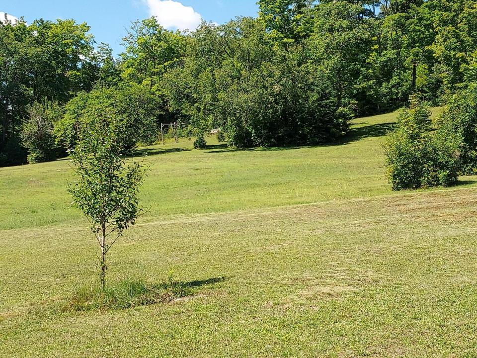 Land2 - Copy