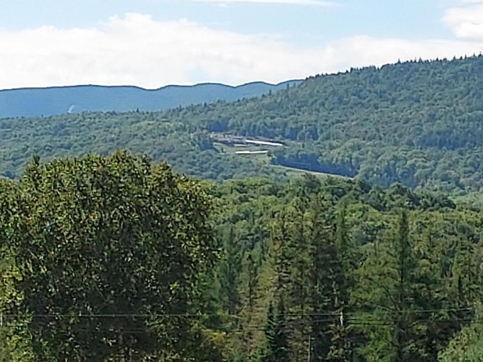 MtnView1