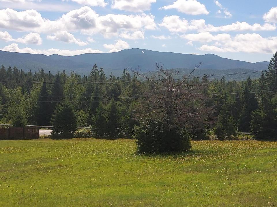 New View4