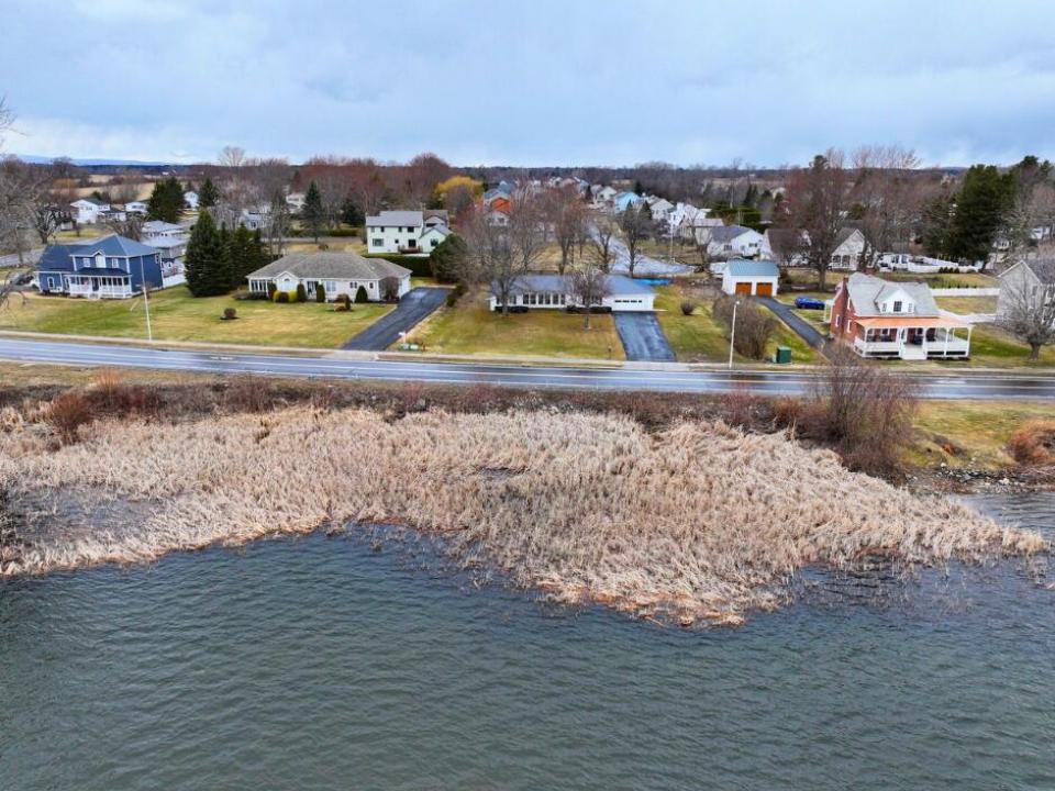 Lake Shot - Drone