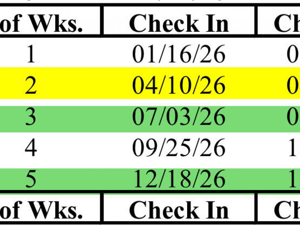 20250326_200006000_iOS