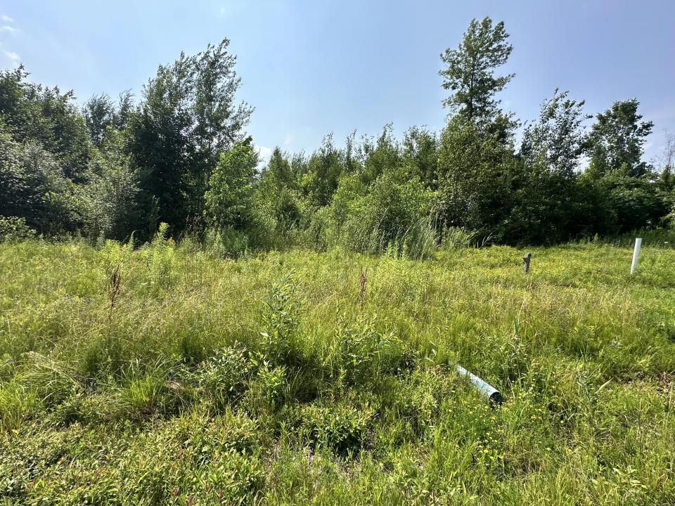 Lot #26 Lot #26