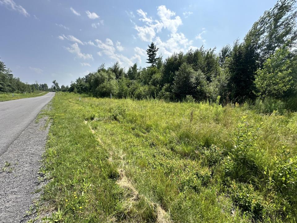 Lot #26