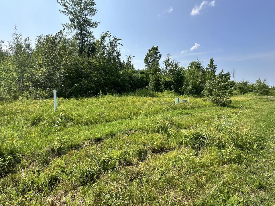 Lot #26