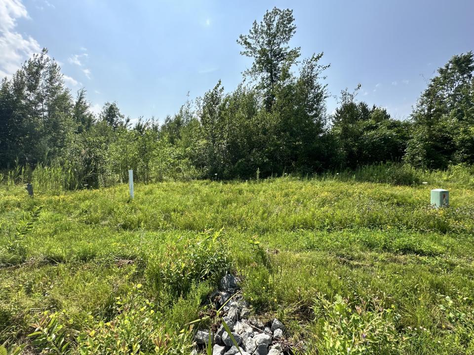 Lot #26