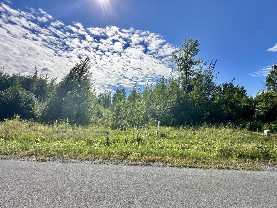 Lot #26