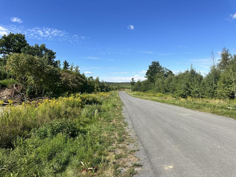 Street view in Neighborhood