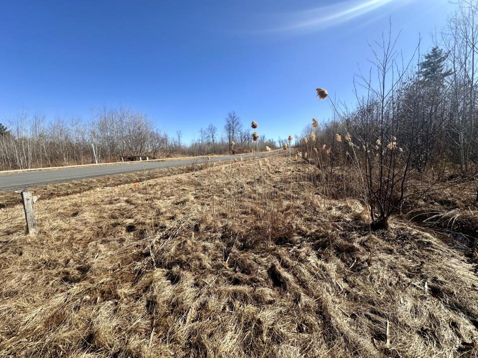 Lot #26