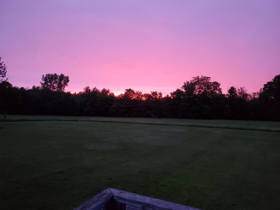 backyard_dusk