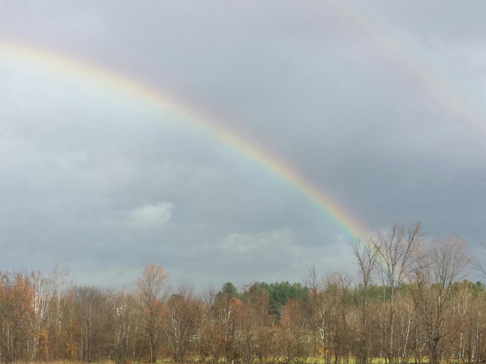 backyard_rainbow
