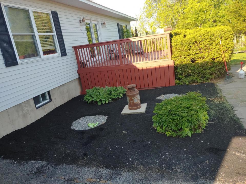 Back yard