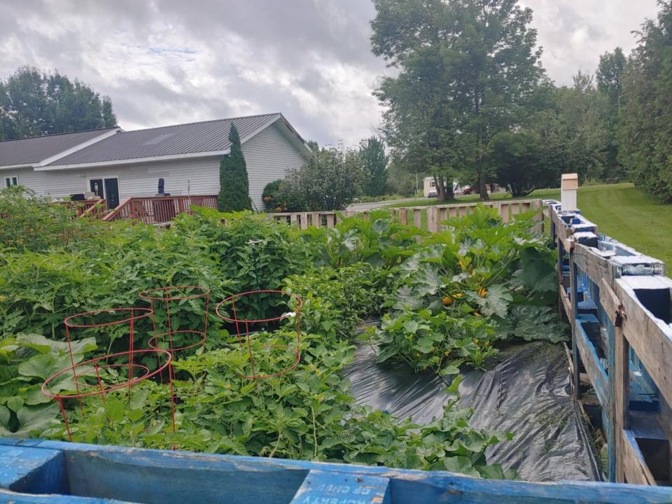 Vegetable garden