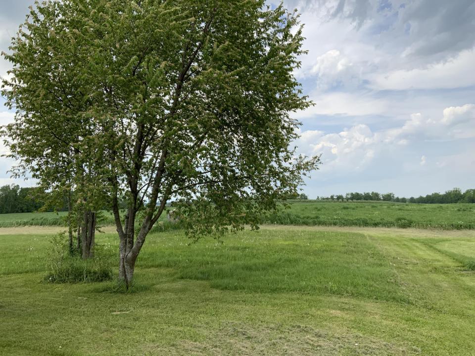 IMG_3350