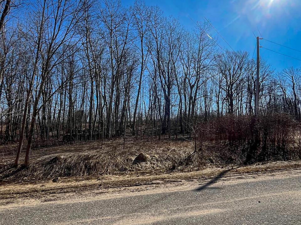 DickinsonCenterLOt_Road_Trees_Sun
