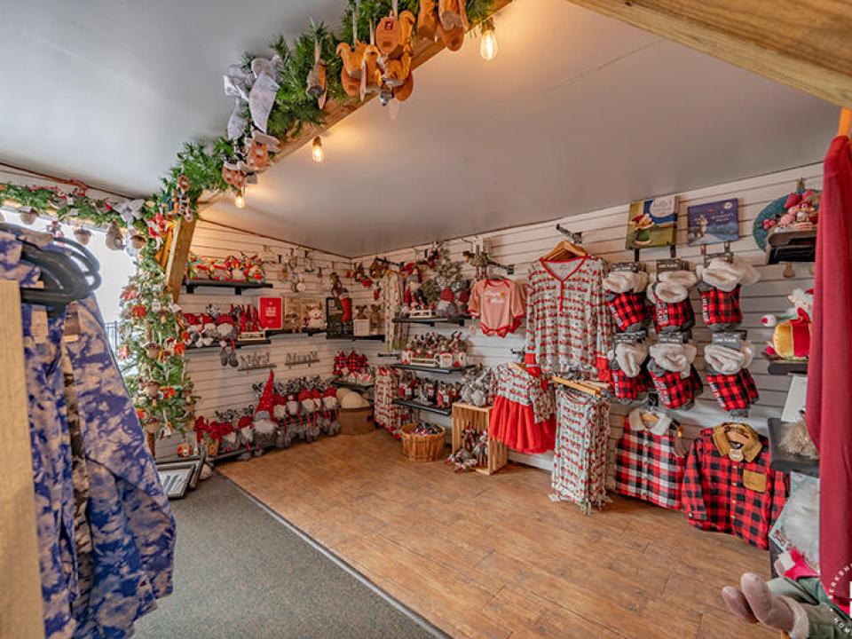 ThereAndBackAgainInLakePlacid_Interior_H