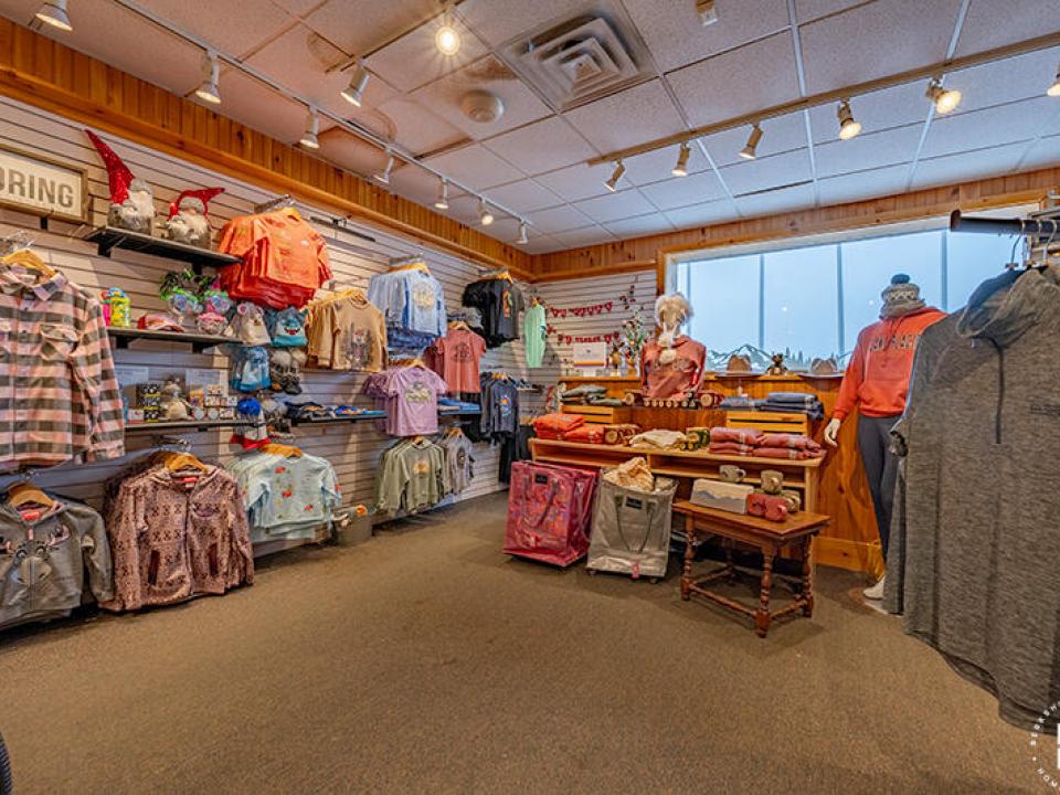 ThereAndBackAgainInLakePlacid_Interior_K