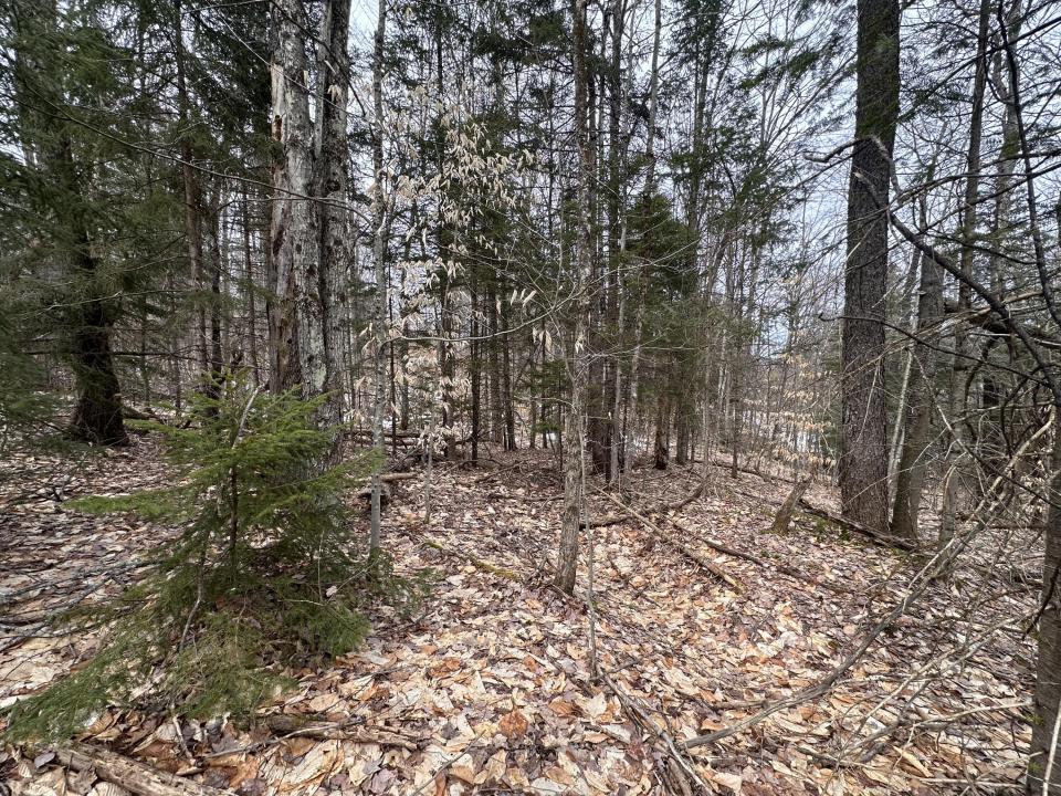 0 Johnson Rd