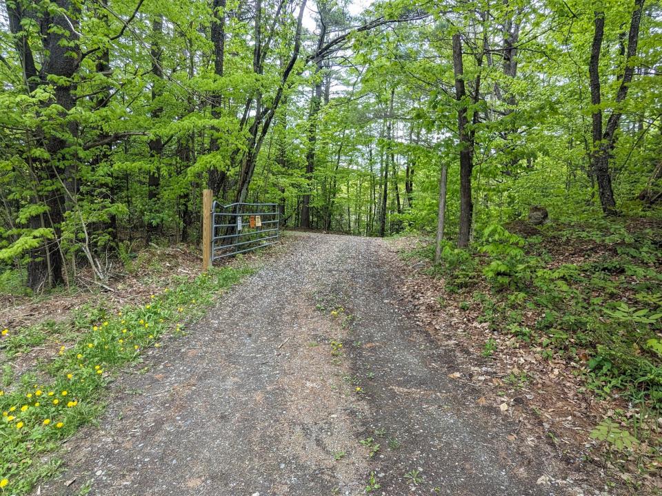 pWalk to Lake1