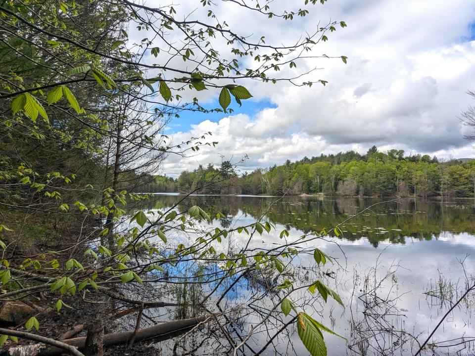 q Lake1