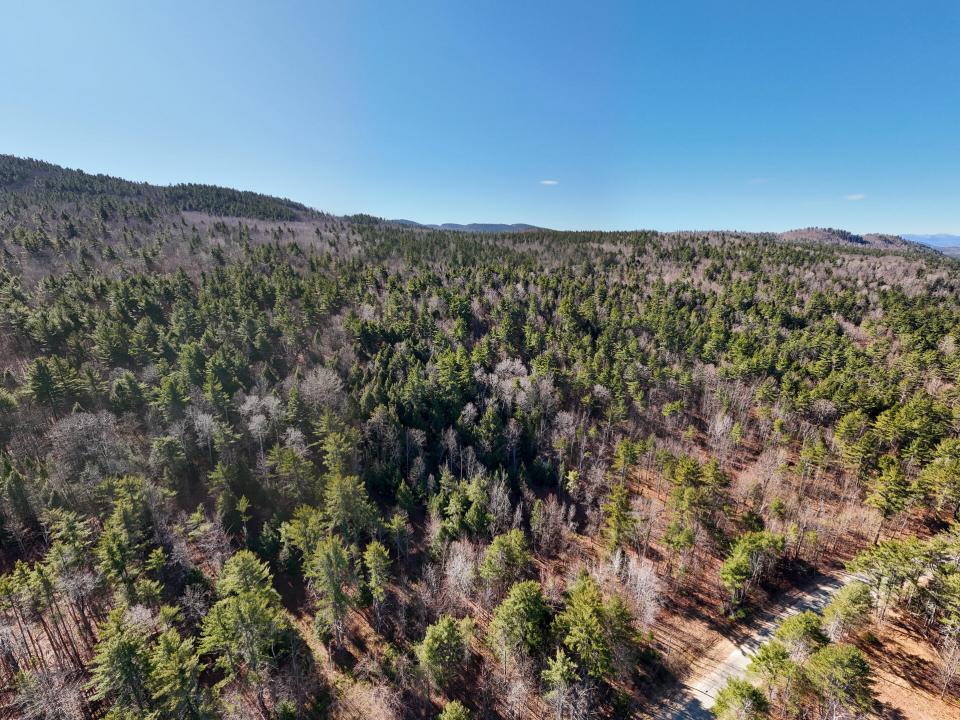 DJI_20250327103619_0101_D