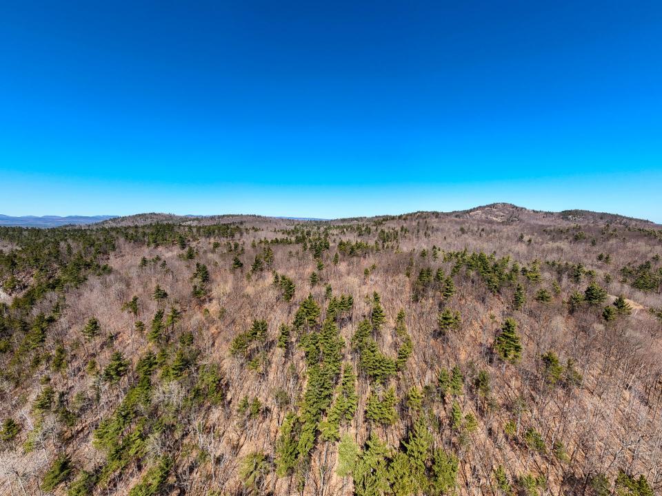 DJI_20250327113313_0109_D