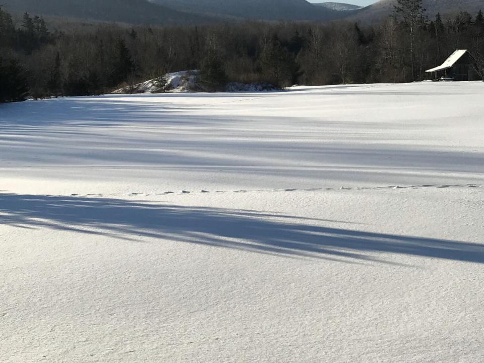 580