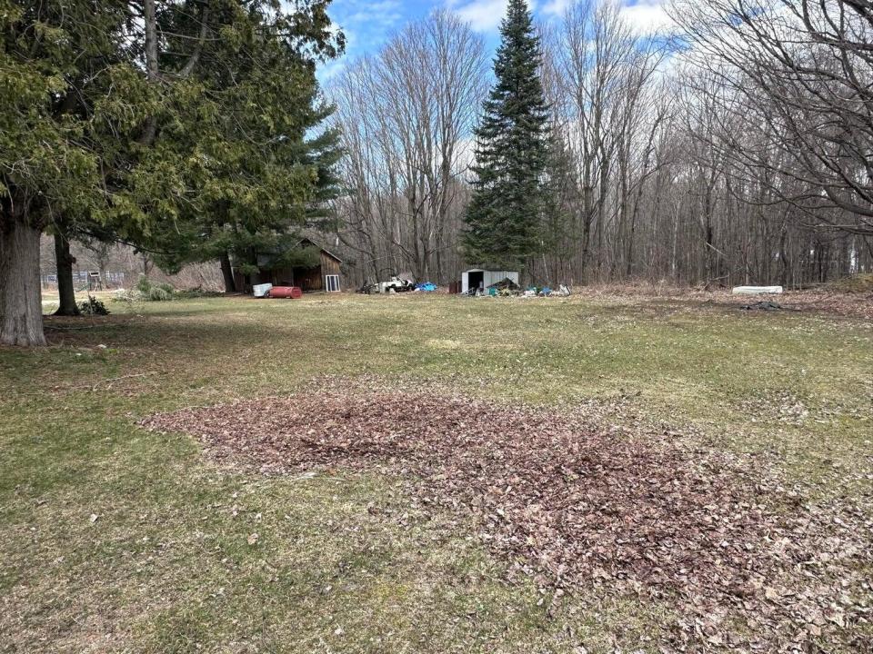 Yard