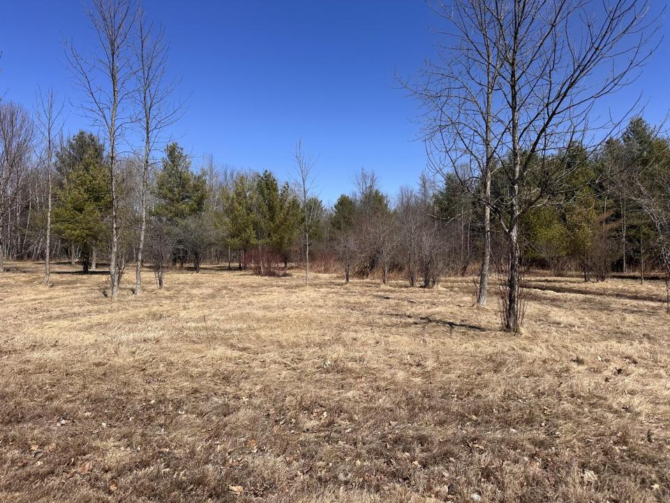 Miller Road 51.2 acres