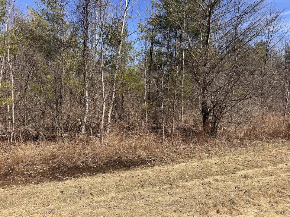 Miller Road 51.2 acres