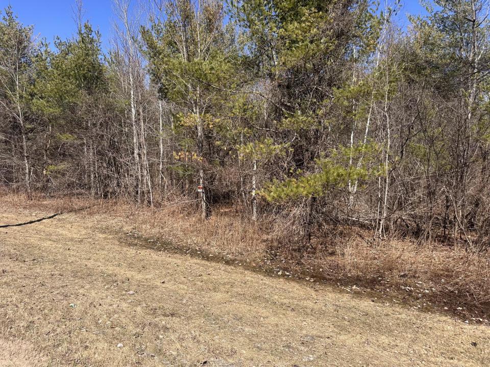 Miller Road 51.2 acres