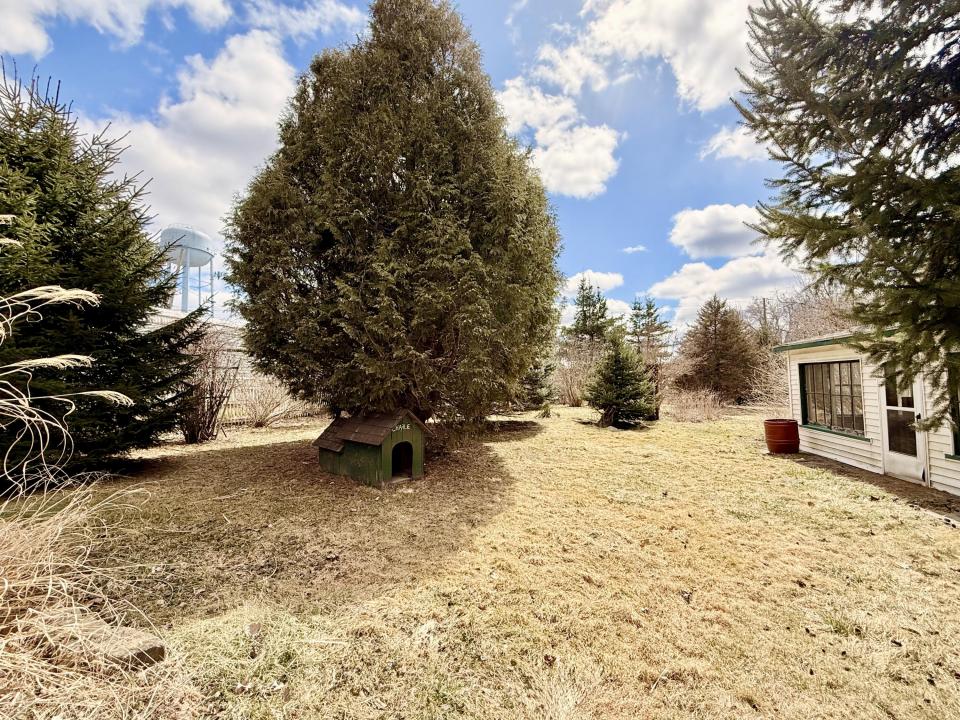 Back yard