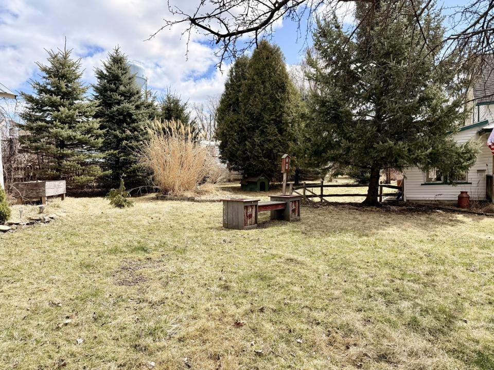 Back yard