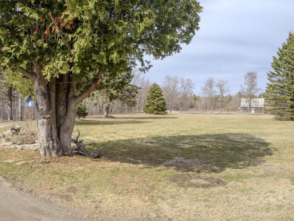 Front yard