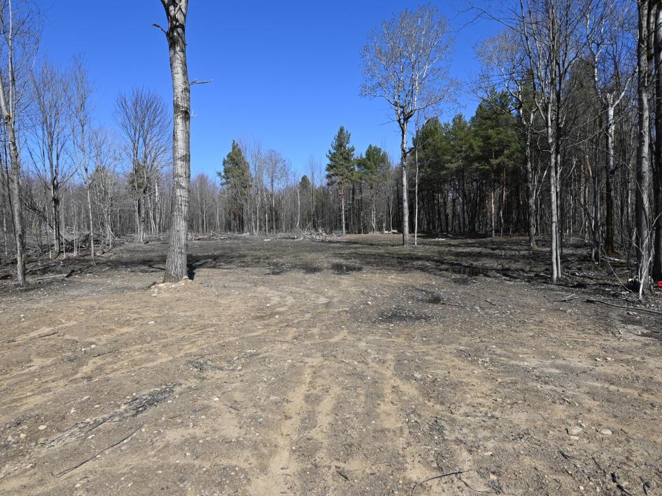 snell 15