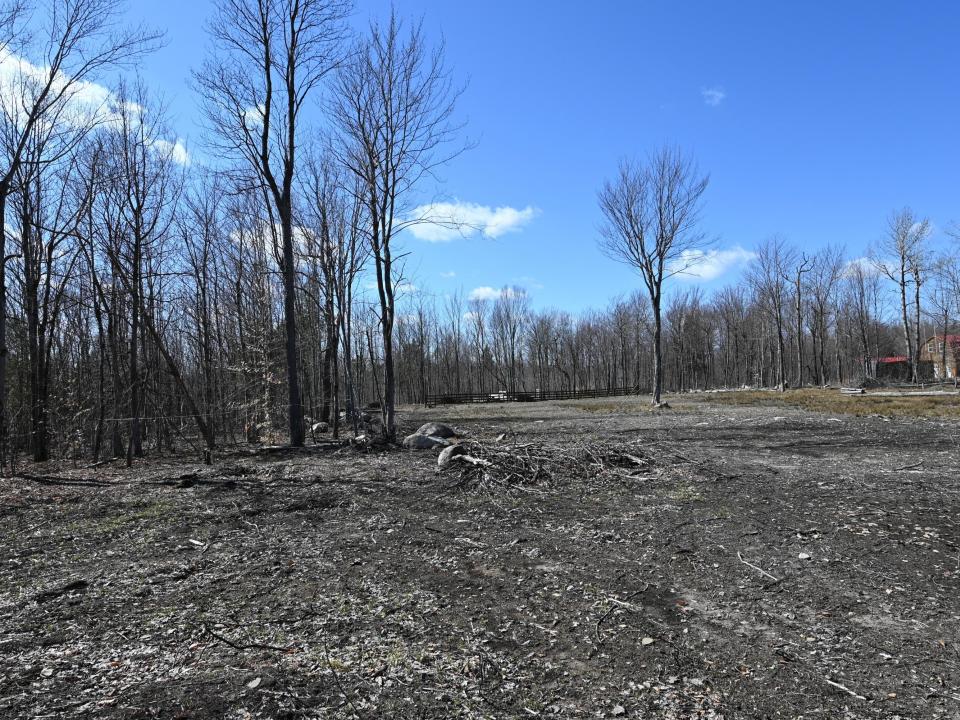 snell 18