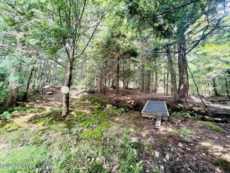Woods