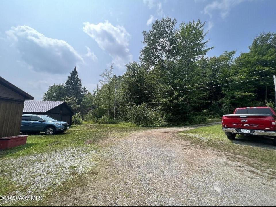 Vacant Lot Woods
