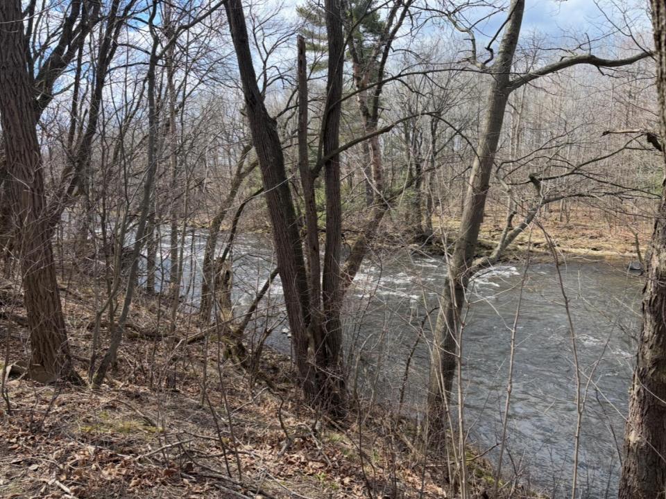IMG-3587