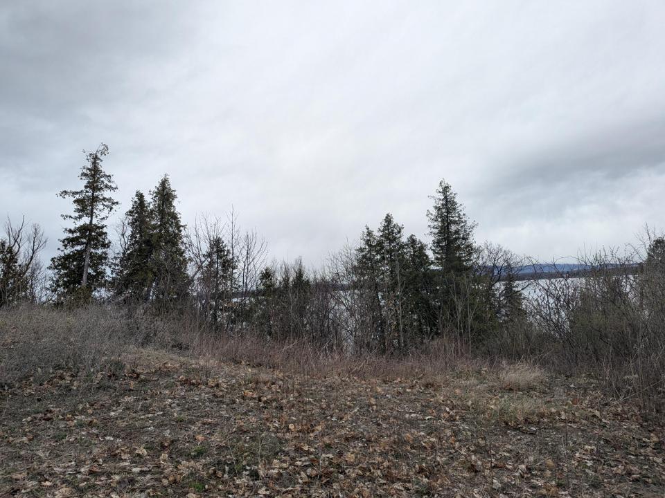PXL_20250416_211523418