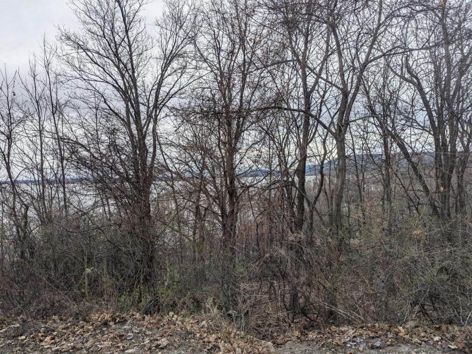 PXL_20250416_211530401