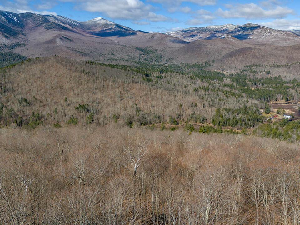 LandOnMooseHillRoad_A_Lot_Above_Trees_Mo