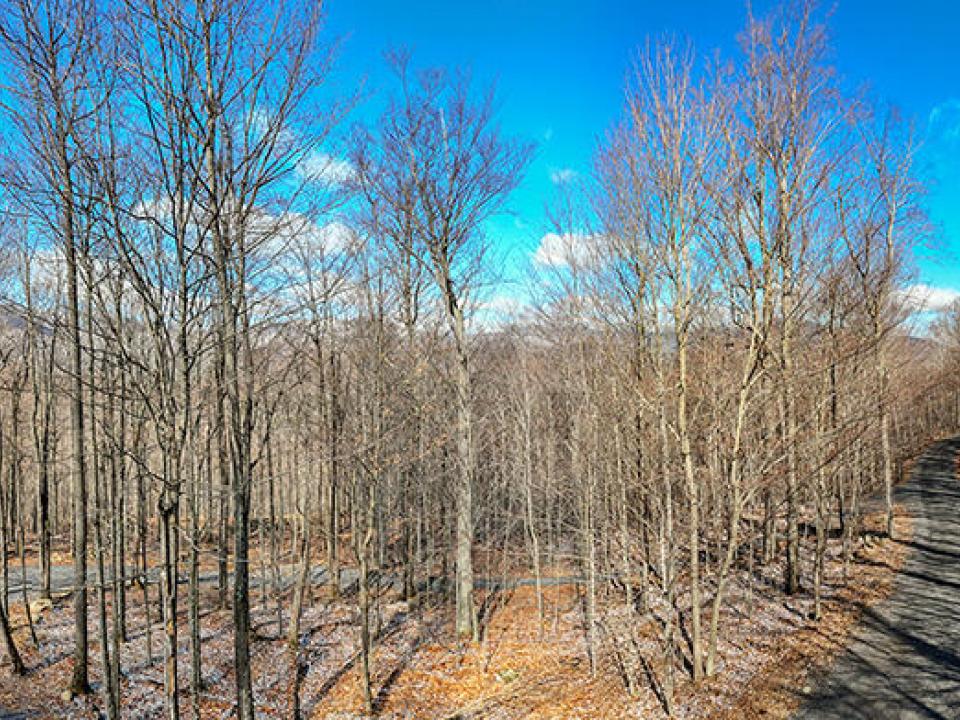 LandOnMooseHillRoad_A_Lot_Pano