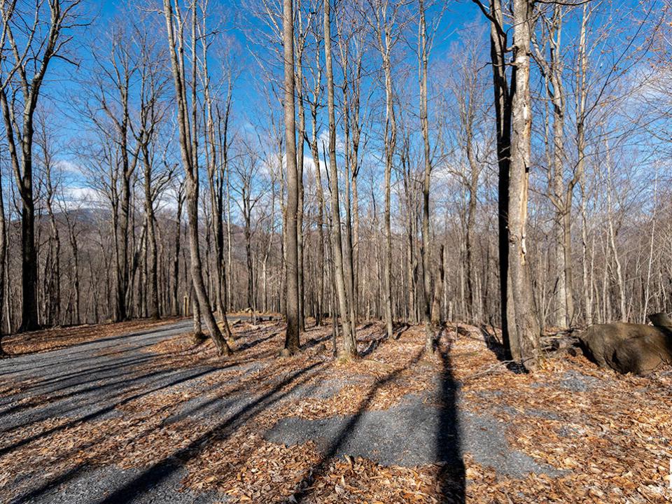 LandOnMooseHillRoad_Driveway_From_Road