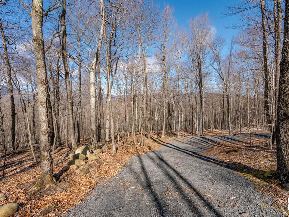 LandOnMooseHillRoad_Driveway_L