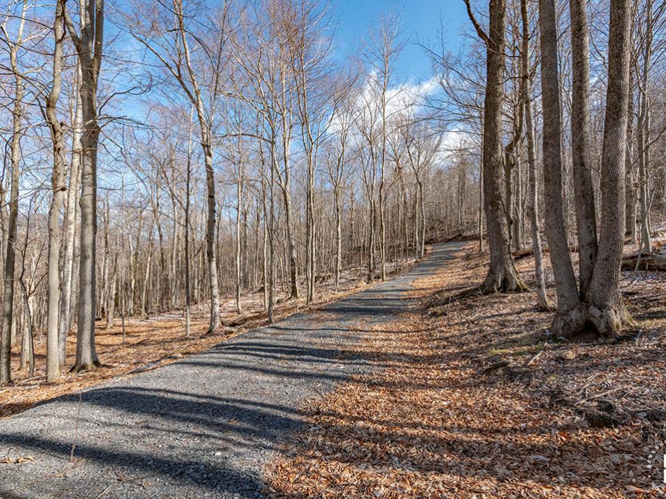 LandOnMooseHillRoad_Driveway_R