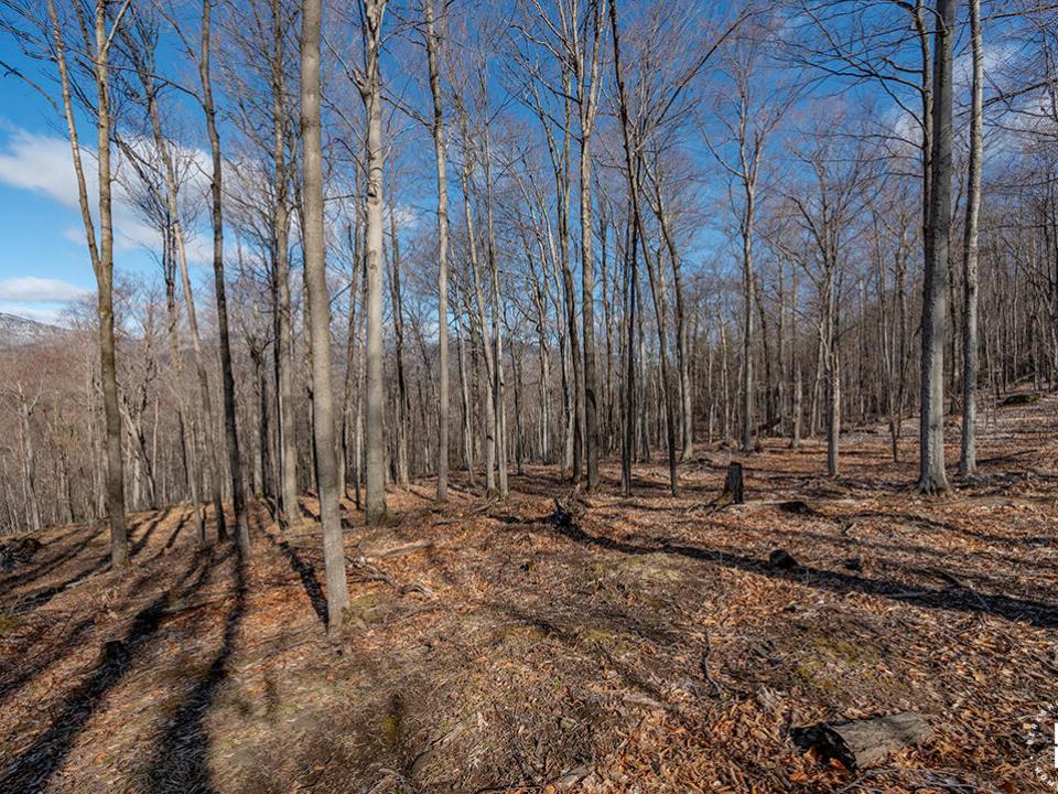 LandOnMooseHillRoad_Lot
