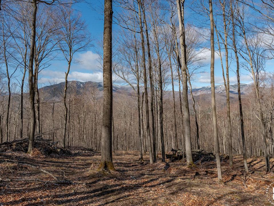 LandOnMooseHillRoad_Lot_Mountain_Views LandOnMooseHillRoad_Lot_Mountain_Views