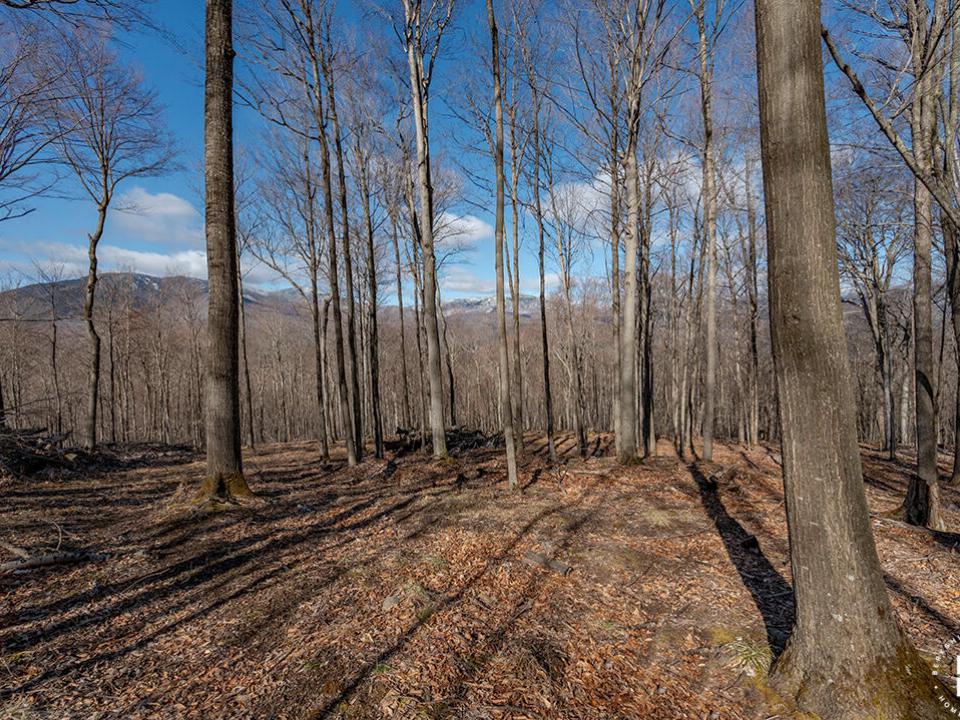 LandOnMooseHillRoad_Lot_Mountain_Views_R