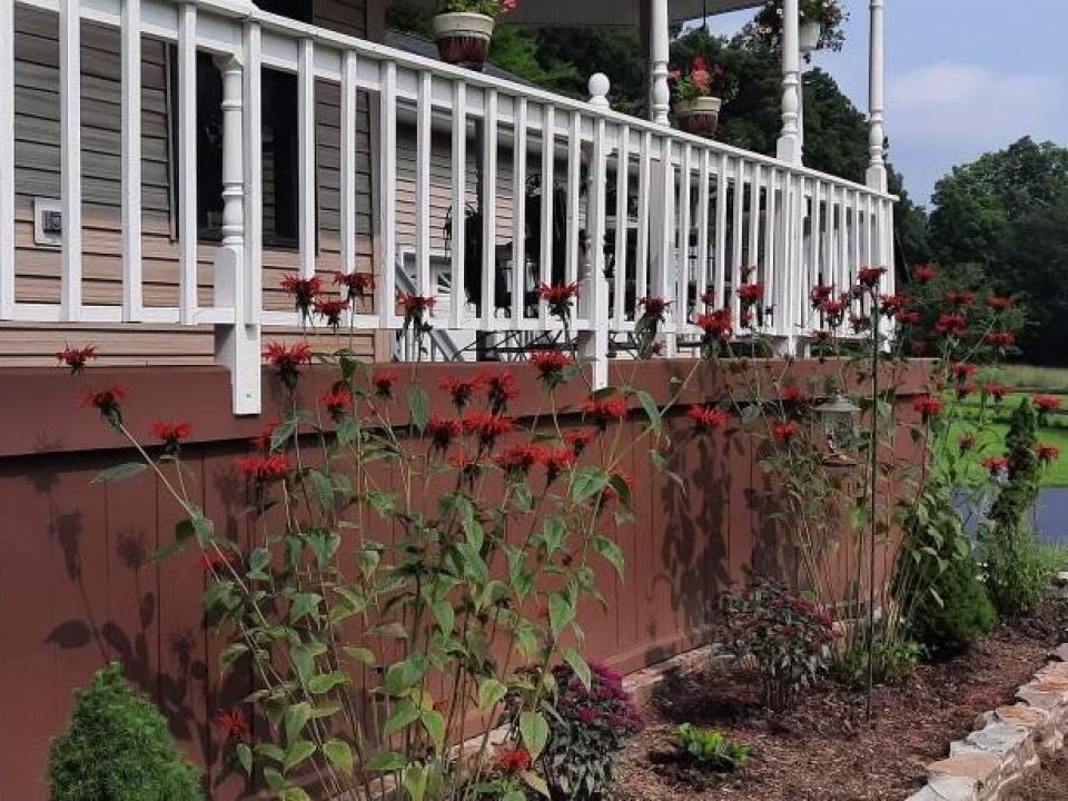 Front walk