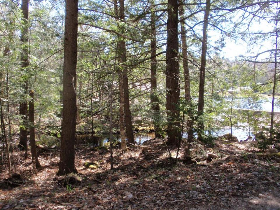 Stream/Lake View